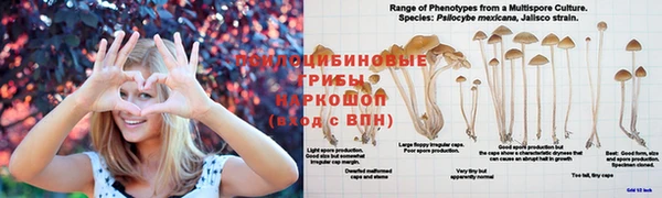 MDMA Premium VHQ Арсеньев