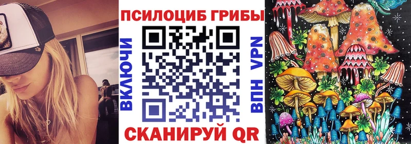 Галлюциногенные грибы Psilocybe  Снежинск 